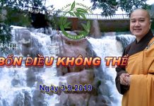 Bốn điều không thể – Thích Pháp Hòa bon dieu khong the thich phap ho