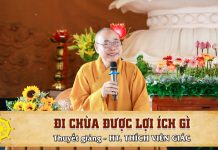 Đi chùa dược lợi ích gì – Thích Viên Giác di chua duoc loi ich gi thich vi