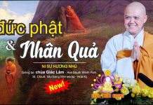 Đức Phật có chịu nhân quả không – Thích Nữ Hương Nhũ duc phat co chiu nhan qua khong