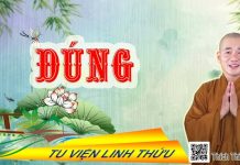 Đúng – Thích Thiện Xuân dung thich thien xuan