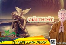 Giải thoát – Thích Thiện Xuân giai thoat thich thien xuan