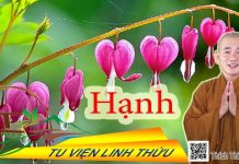 Hạnh – Thích Thiện Xuân hanh thich thien xuan