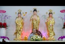 Làm thế nào đến thế giới cực lạc – Thích Nữ Như Lan lam the nao den the gioi cuc lac