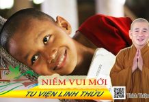 Niềm vui mới – Thích Thiện Xuân niem vui moi thich thien xuan