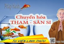 Pháp hành: chuyển hóa tham sân si – Thích Thiện Xuân phap hanh chuyen hoa tham san si