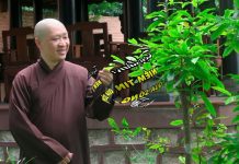 Tọa đàm: Niềm tin qua sông mê – Thích Thiện Thuận toa dam niem tin qua song me thi