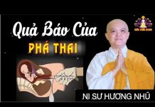 Tội ác và quả báo của nạo phá thai nhi – Thích Nữ Hương Nhũ toi ac va qua bao cua nao pha th