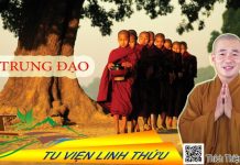 Trung đạo – Thích Thiện Xuân trung dao thich thien xuan