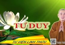 Tư duy – Thích Thiện Xuân tu duy thich thien xuan