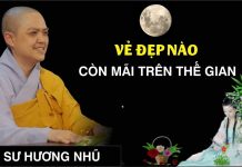 Vẻ đẹp nào còn mãi trên thế gian – Thích Nữ Hương Nhũ ve dep nao con mai tren the gian