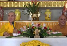 Virus – Thích Thiện Xuân virus thich thien xuan