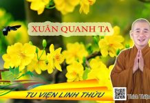 Xuân quanh ta – Thích Thiện Xuân xuan quanh ta thich thien xuan