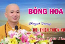 Bông Hoa – Thích Thiện Xuân bong hoa thich thien xuan