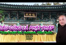 Đâu cũng là Phật Pháp – Thích Pháp Hòa dau cung la phat phap thich phap
