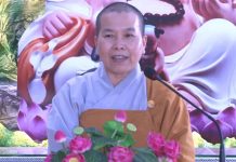 Hai cấp độ của hạnh phúc – Thích Nữ Như Lan hai cap do cua hanh phuc thich n