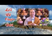 Lối rẽ cuộc đời – Thích Nữ Như Lan loi re cuoc doi thich nu nhu lan