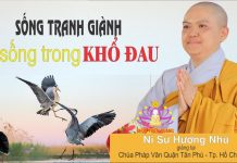 Người sống trong tranh giành là người sống trong khổ đau – Thích Nữ Hương Nhũ nguoi song trong tranh gianh la