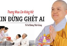 Ở đời có duyên lắm mới gặp được nhau, gặp nhau rồi xin đừng ghét ai – Thích Nữ Hương Nhũ o doi co duyen lam moi gap duoc
