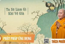 Ta sẽ làm gì khi về già? (Khóa Tu 111) – Thích Phước Tiến ta se lam gi khi ve gia khoa tu