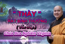 Thầy rất bình thường – Thích Pháp Hòa thay rat binh thuong thich phap