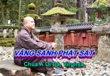 Vãng sanh Phật sát – Thích Pháp Hòa vang sanh phat sat thich phap ho