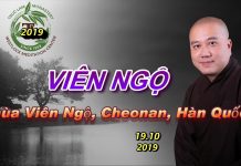 Viên ngộ – Thích Pháp Hòa vien ngo thich phap hoa