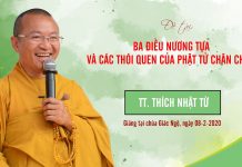 Ba điều nương tựa và các thói quen của Phật tử chân chính – Thích Nhật Từ