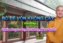 Bồ đề vốn không cây – Thích Pháp Hòa