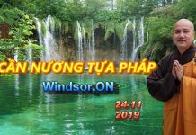 Cần Nương Tựa Pháp – Thích Pháp Hòa
