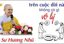Không có gì là vô lý – Thích Nữ Hương Nhũ