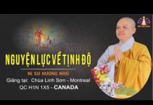 Nguyện lực về Tịnh Độ – Thích Nữ Hương Nhũ