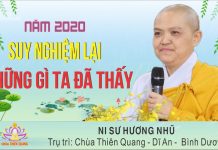Suy nghiệm lại những điều ta thấy – Thích Nữ Hương Nhũ