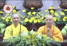 Thập Đại Đệ Tử Phần 7 – Tôn Giả A Na Luật – Thích Thiện Thuận