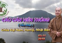 Các Căn Viên Thông – Thích Pháp Hòa