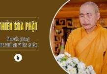 Thiền của Phật phần 5 – Thích Viên Giác