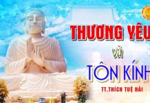 Thương yêu và tôn kính – Thích Tuệ Hải