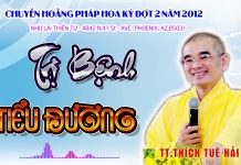 Trị bệnh tiểu đường – Thích Tuệ Hải