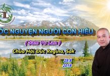 Ước NguyệnNgười Con Hiếu – Thích Pháp Hòa