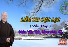 Liễu Tri Cực Lạc – Thích Pháp Hòa