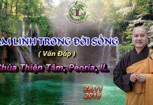 Tâm Linh Trong Đời Sống – Thích Pháp Hòa