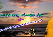 Vững Tâm Trong Các Hạnh Lành – Thích Pháp Hòa