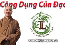 Công Dụng Của Đạo – Thích Pháp Hòa