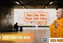 Làm Sao Tâm Được Tĩnh Lặng? – Thích Phước Tiến