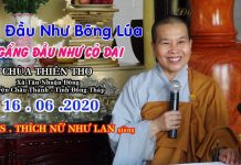 Cúi đầu như bông lúa – ngẩng đầu như cỏ dại – Thích Nữ Như Lan