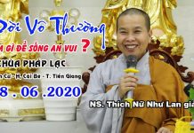 Đời vô thường làm gì để sống an vui – Thích Nữ Như Lan