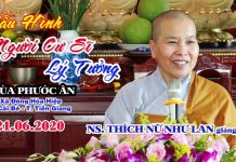 Mẫu hình người cư sĩ lý tưởng – Thích Nữ Như Lan