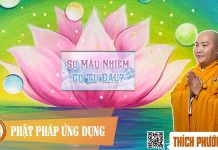 Sự Mầu Nhiệm Có Từ Đâu? (KT113) – Thích Phước Tiến