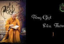 Từng Giọt Sữa Thơm phần 1 – Thích Pháp Hòa