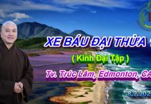 Xe Báu Đại Thừa phần 1 – Thích Pháp Hòa