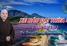 Xe Báu Đại Thừa phần 4 – Thích Pháp Hòa